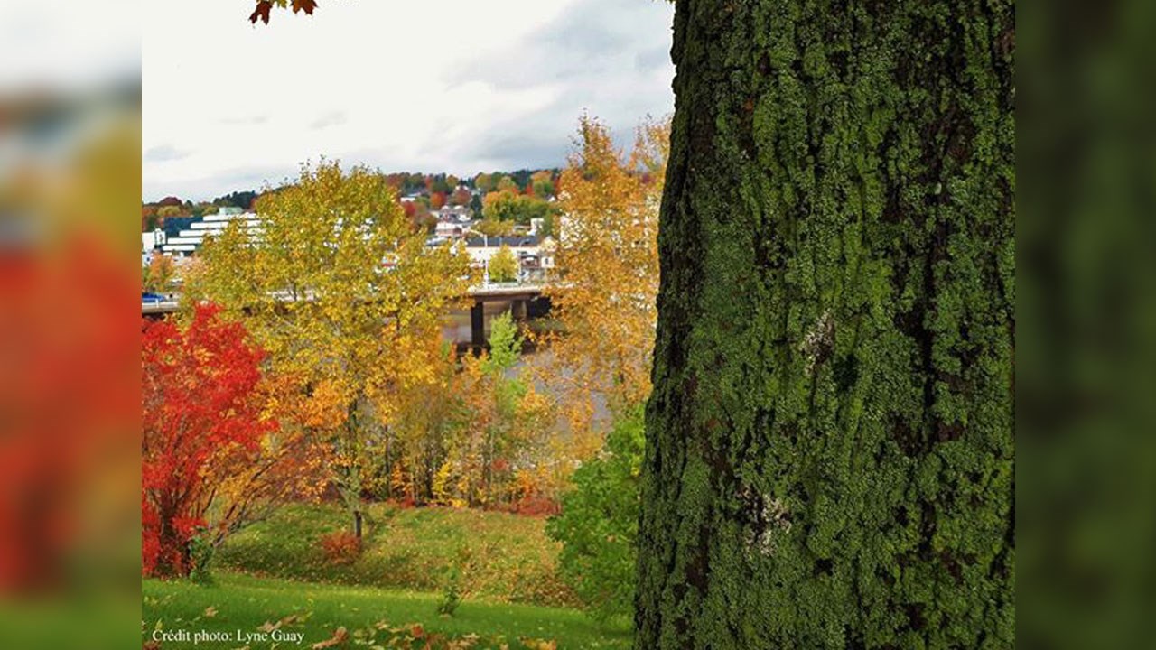 Immortaliser les beautés de l'automne : les photos de nos lecteurs