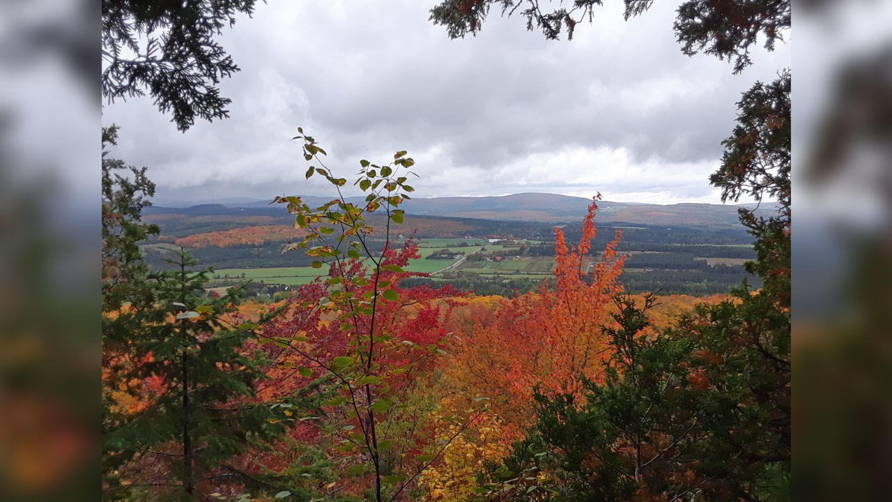 Immortaliser les beautés de l'automne : les photos de nos lecteurs