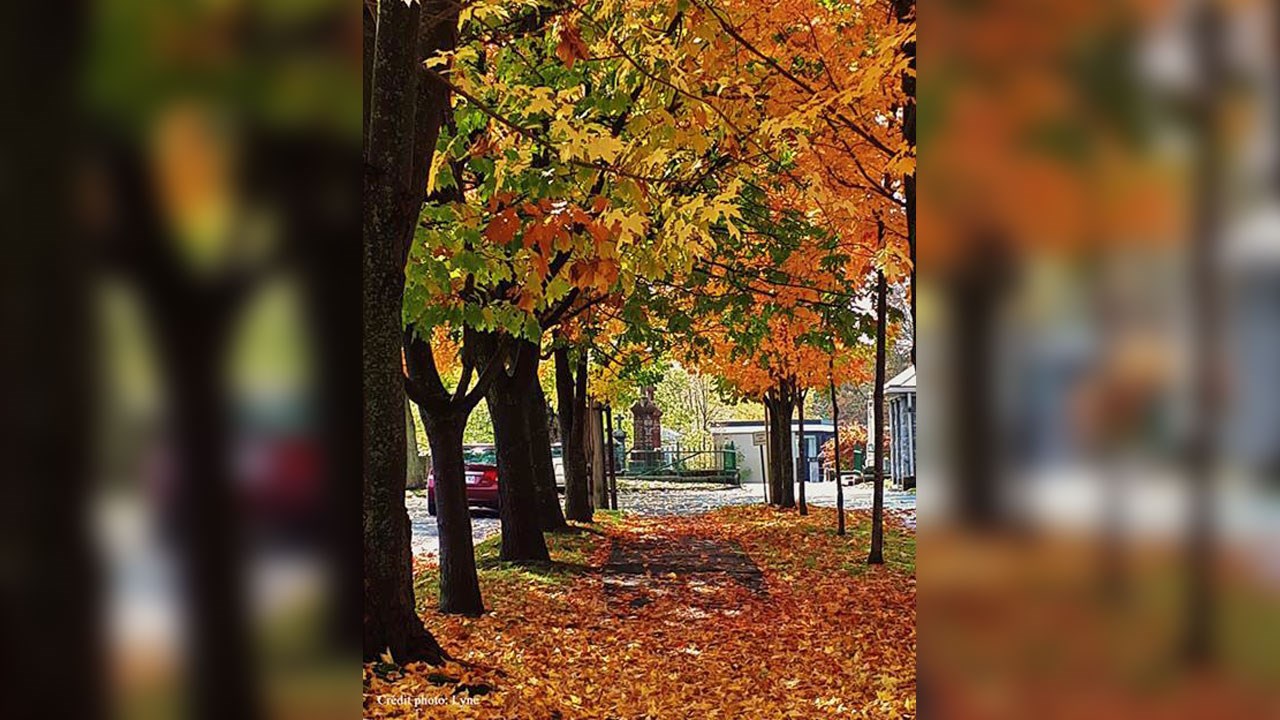 Immortaliser les beautés de l'automne : les photos de nos lecteurs