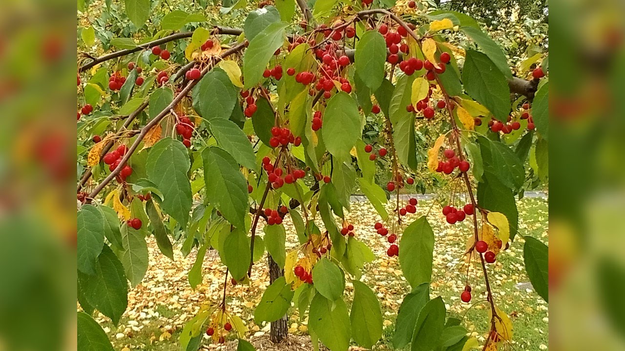 Immortaliser les beautés de l'automne : les photos de nos lecteurs