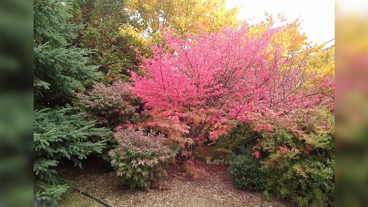 Immortaliser les beautés de l'automne : les photos de nos lecteurs