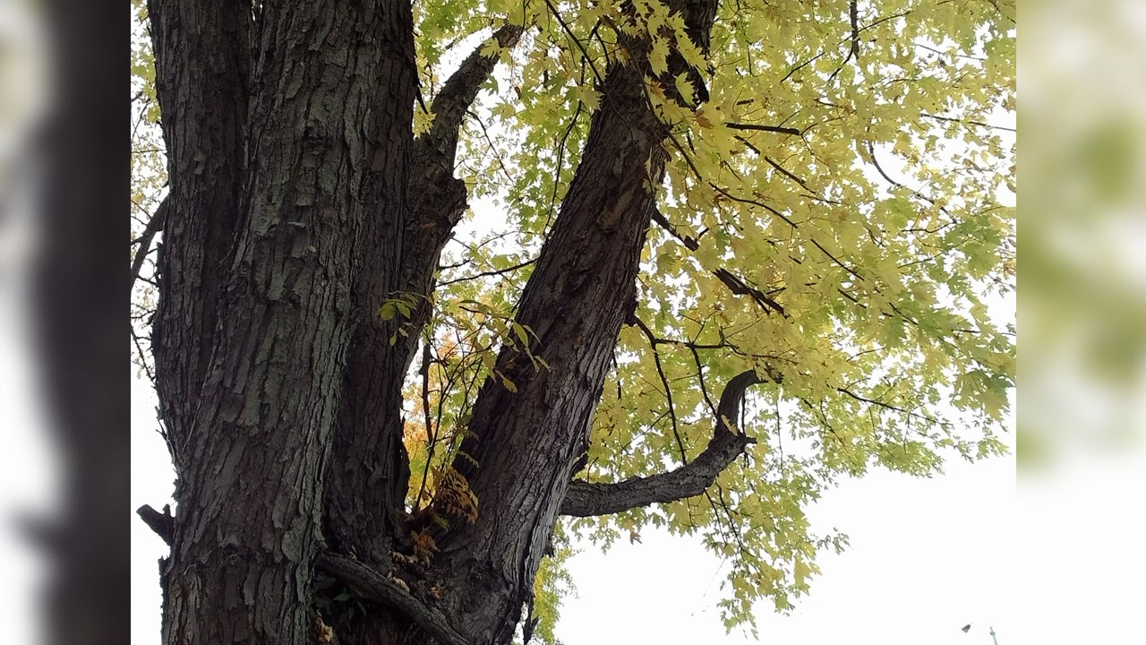 Immortaliser les beautés de l'automne : les photos de nos lecteurs