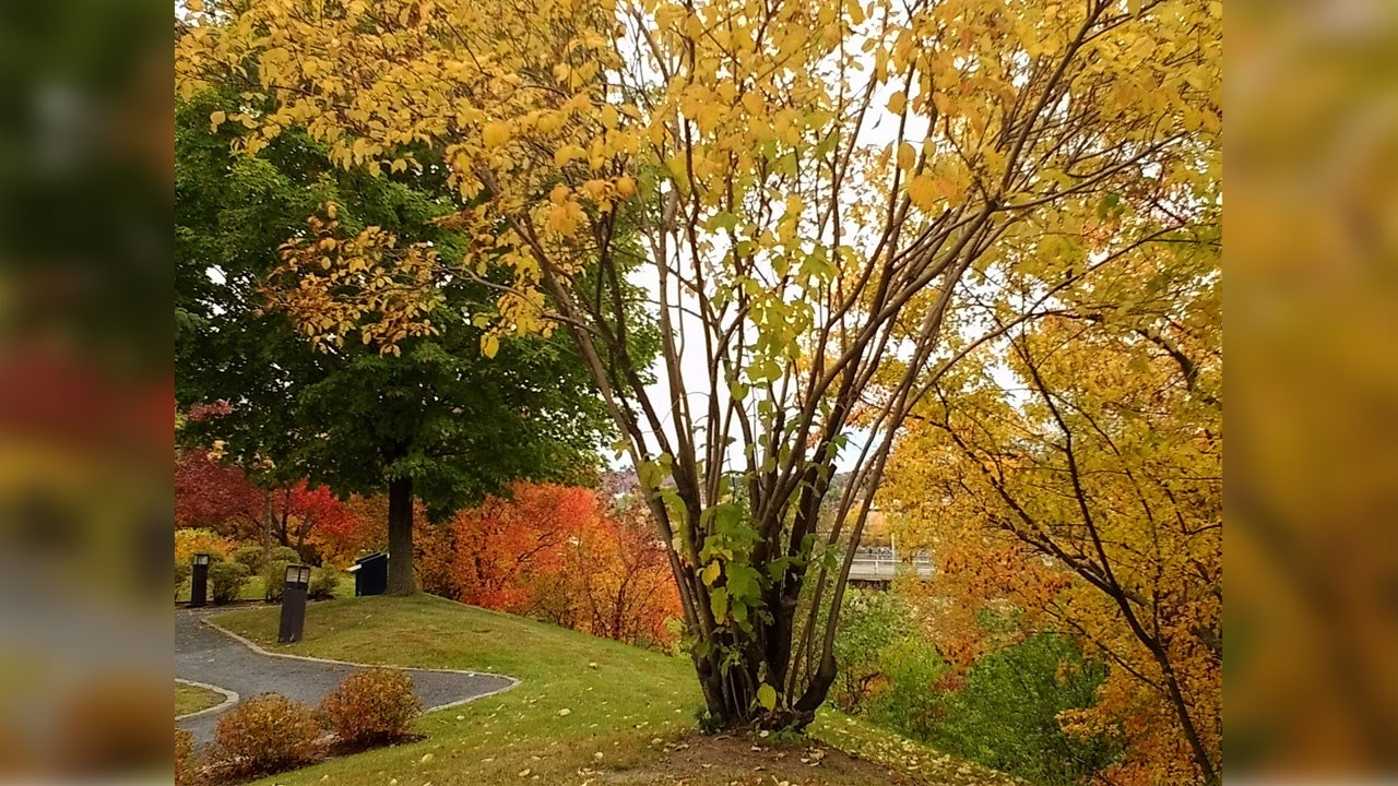 Immortaliser les beautés de l'automne : les photos de nos lecteurs