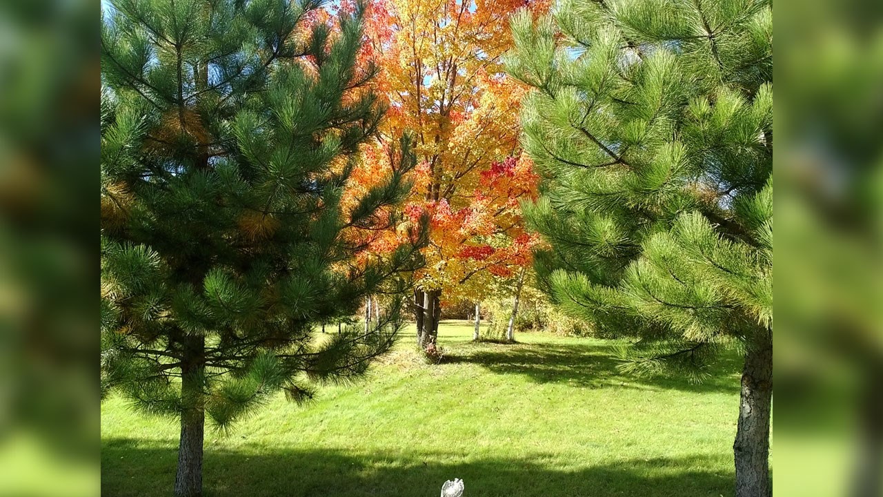 Immortaliser les beautés de l'automne : les photos de nos lecteurs