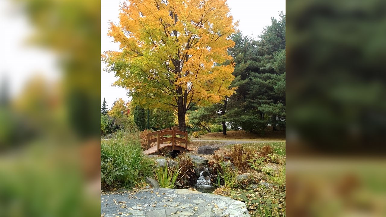 Immortaliser les beautés de l'automne : les photos de nos lecteurs
