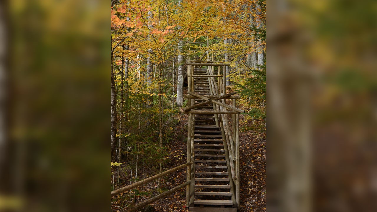 Immortaliser les beautés de l'automne : les photos de nos lecteurs