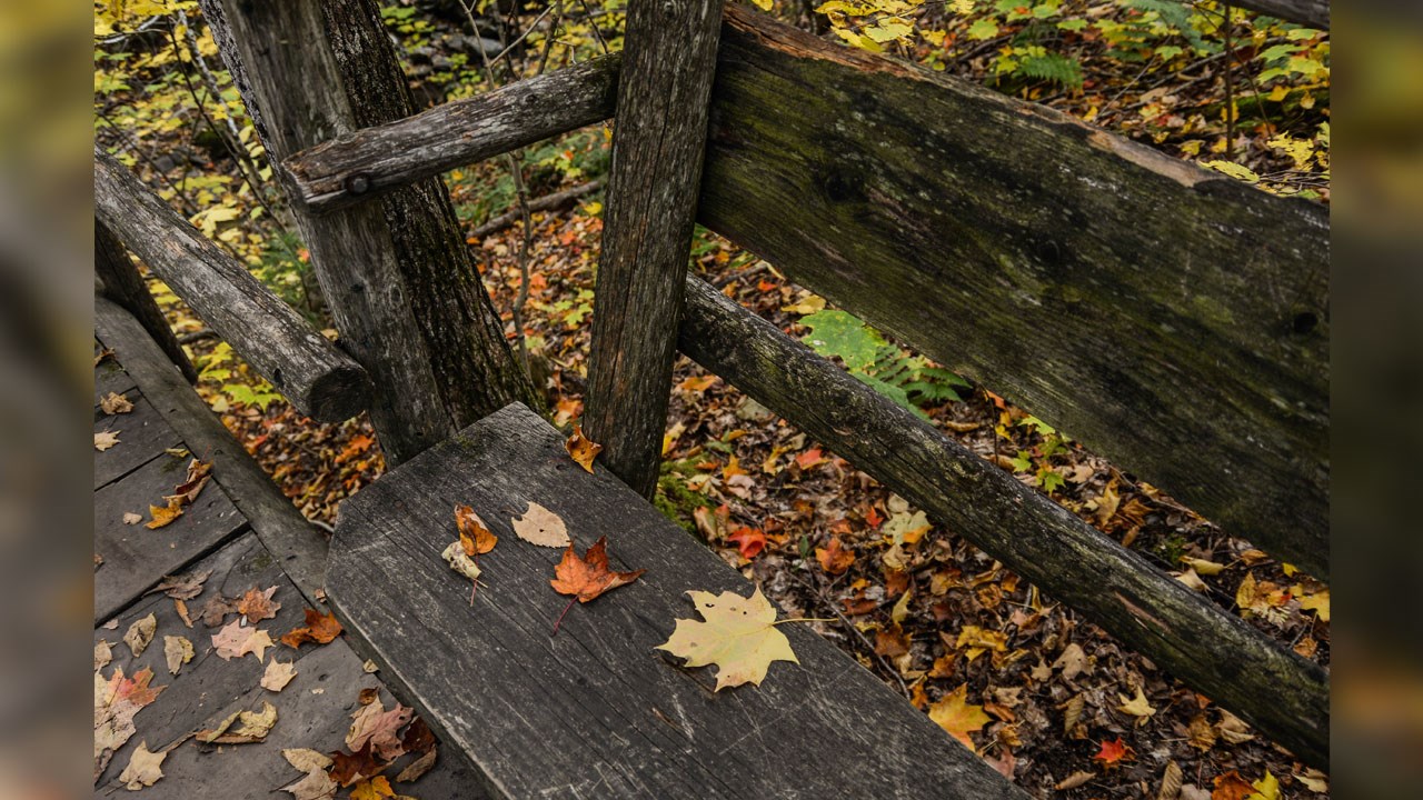 Immortaliser les beautés de l'automne : les photos de nos lecteurs