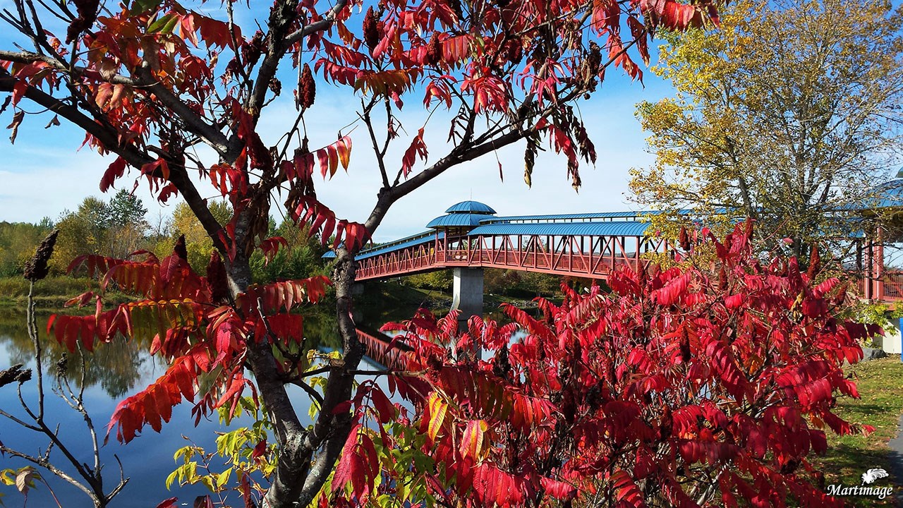 Immortaliser les beautés de l'automne : les photos de nos lecteurs