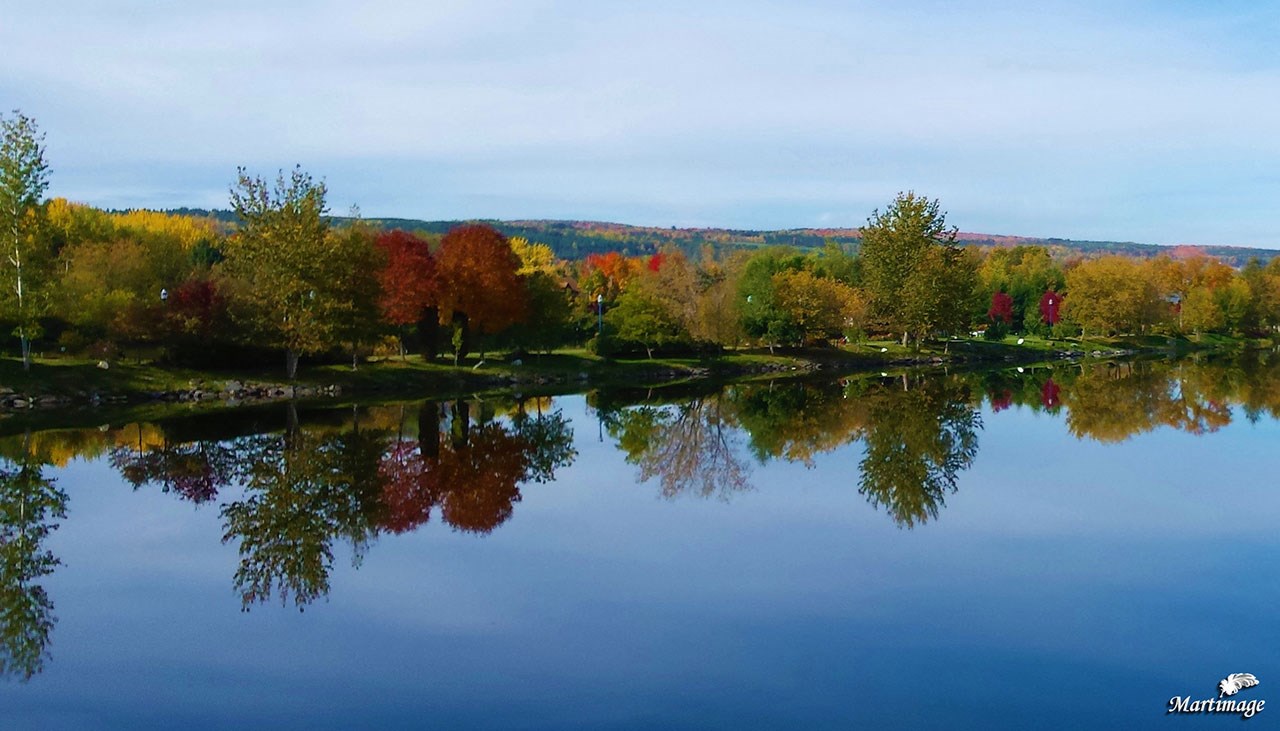 Immortaliser les beautés de l'automne : les photos de nos lecteurs