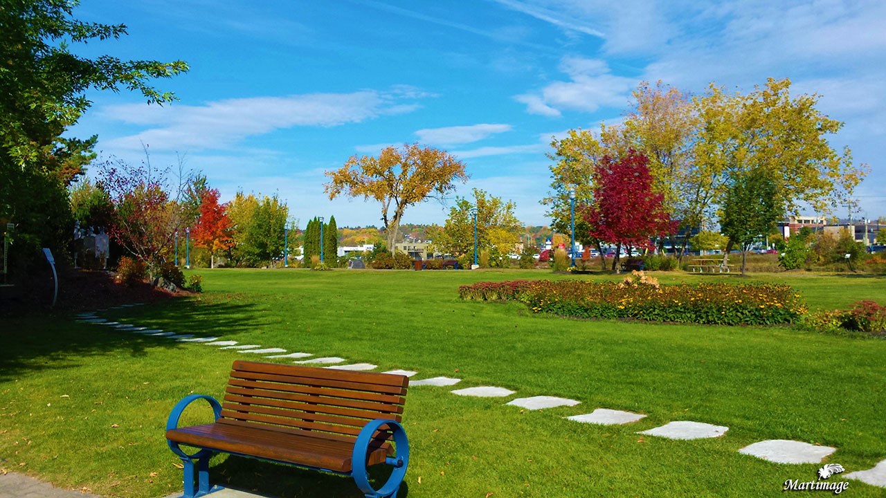 Immortaliser les beautés de l'automne : les photos de nos lecteurs