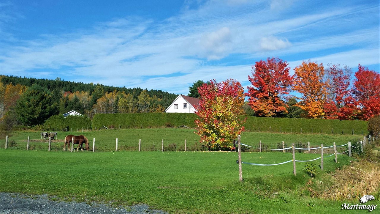 Immortaliser les beautés de l'automne : les photos de nos lecteurs
