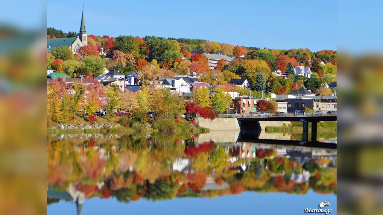 Immortaliser les beautés de l'automne : les photos de nos lecteurs