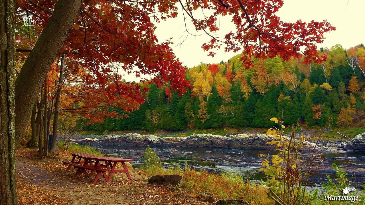 Immortaliser les beautés de l'automne : les photos de nos lecteurs
