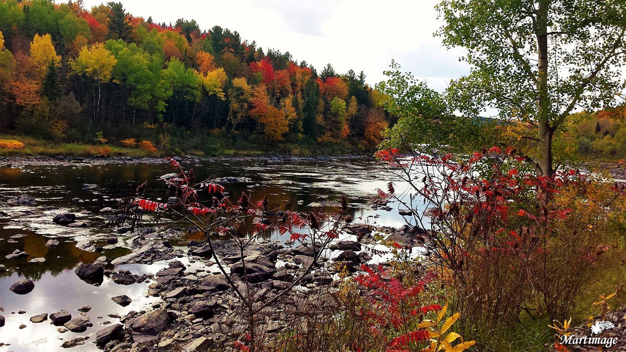 Immortaliser les beautés de l'automne : les photos de nos lecteurs