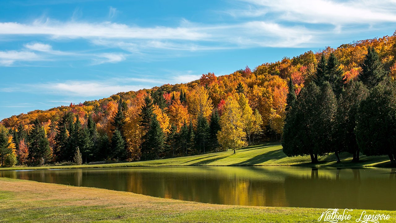 Immortaliser les beautés de l'automne : les photos de nos lecteurs