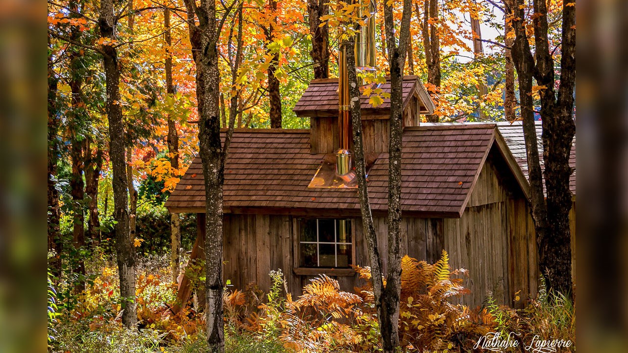 Immortaliser les beautés de l'automne : les photos de nos lecteurs