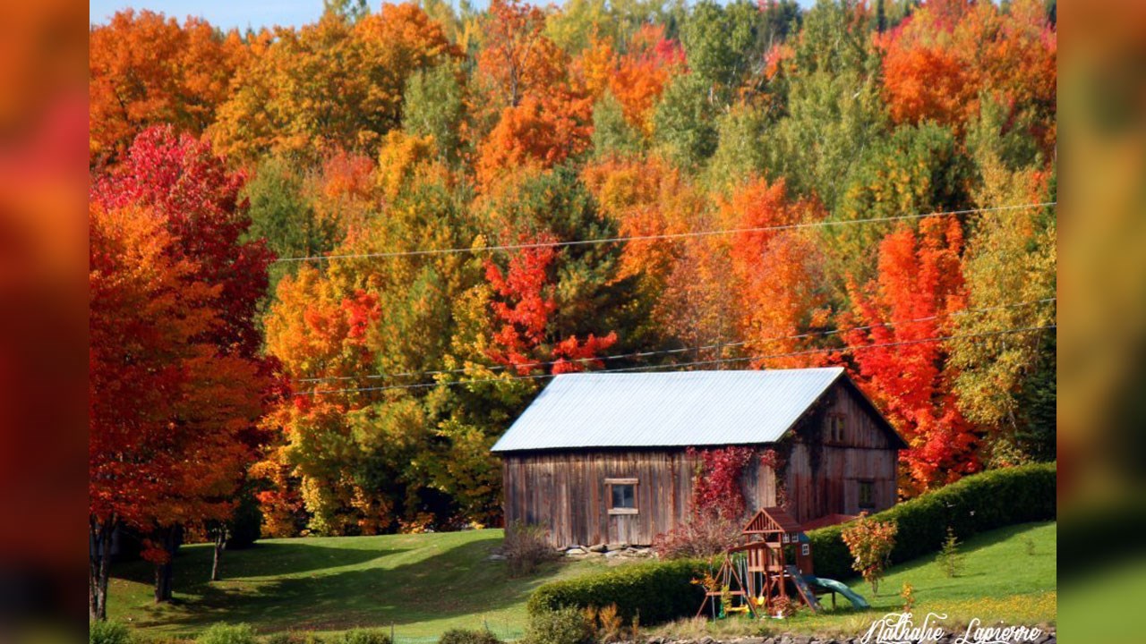 Immortaliser les beautés de l'automne : les photos de nos lecteurs