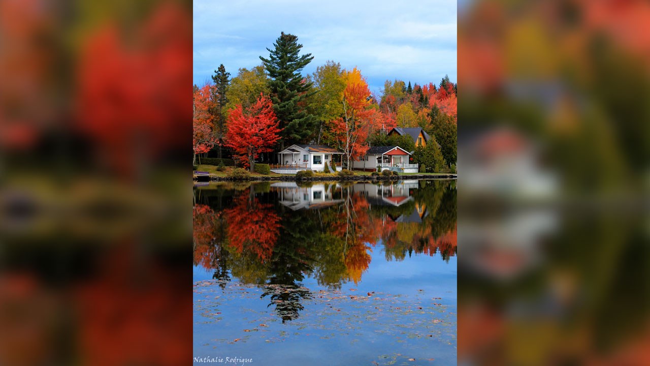 Immortaliser les beautés de l'automne : les photos de nos lecteurs