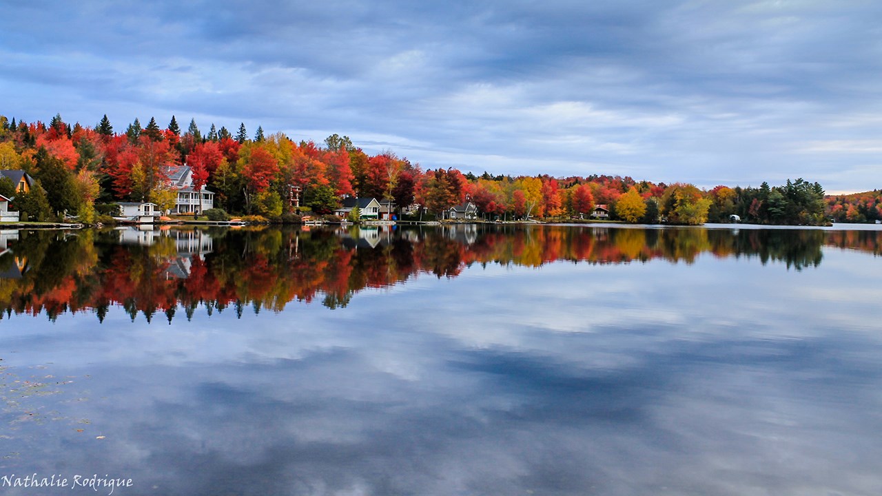 Immortaliser les beautés de l'automne : les photos de nos lecteurs