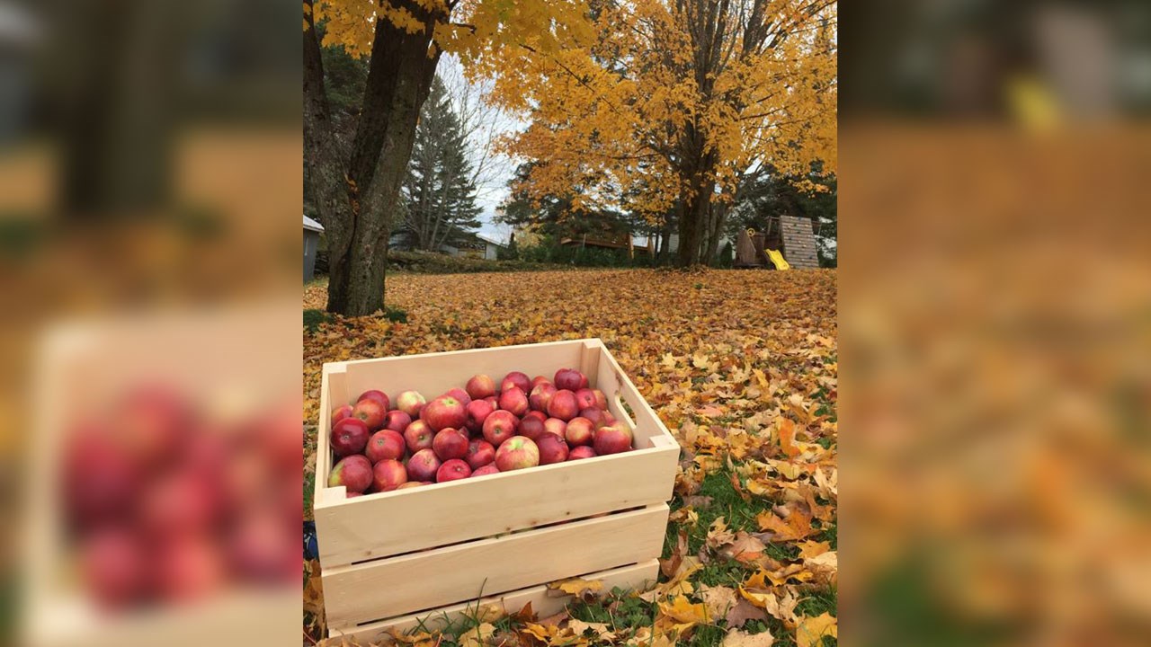 Immortaliser les beautés de l'automne : les photos de nos lecteurs