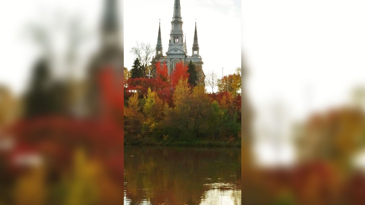 Immortaliser les beautés de l'automne : les photos de nos lecteurs