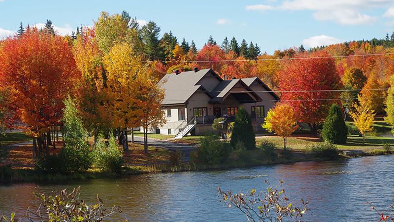 Immortaliser les beautés de l'automne : les photos de nos lecteurs