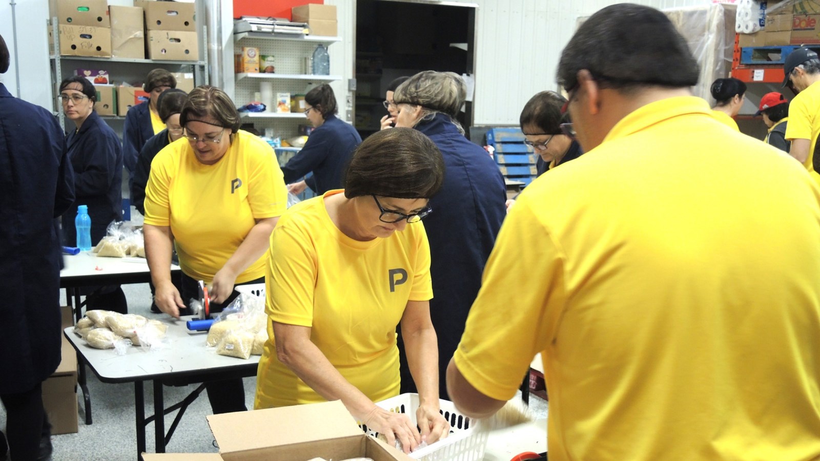 30 employés de Promutuel prêtent main-forte à Moisson Beauce