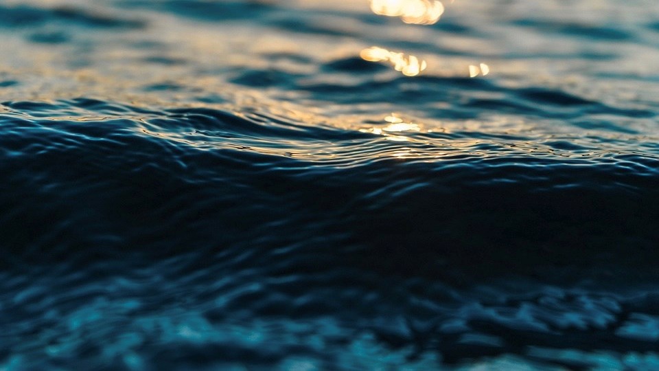 Les producteurs agricoles s’unissent pour améliorer la qualité de l’eau du bassin versant de la rivière Noire