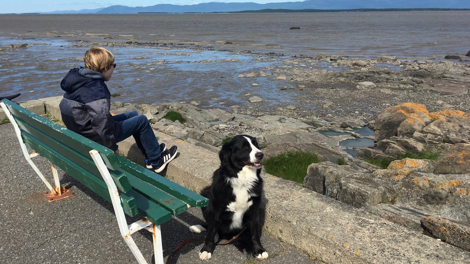 Quand c'est le coeur qui voyage : roadtrip avec un enfant autiste