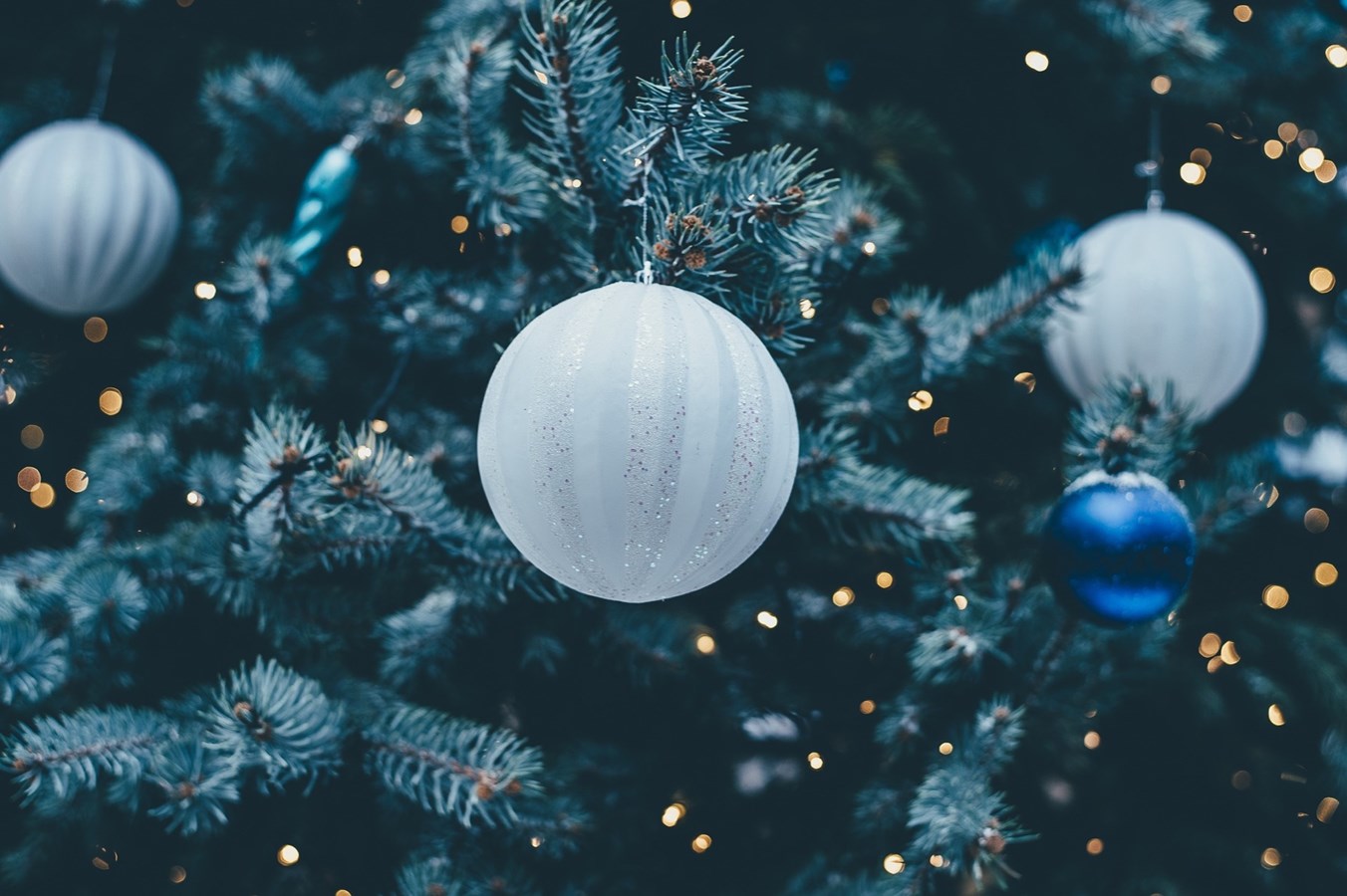 Isabelle Matte présente une conférence sur les origines de Noël