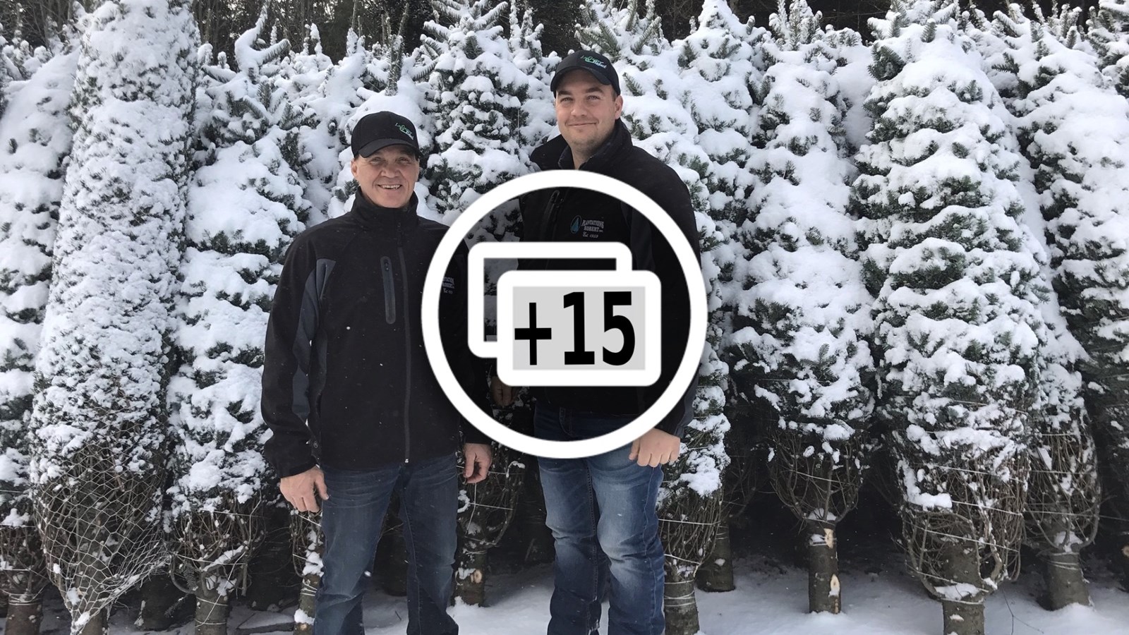 De la Beauce à Dubaï : les sapins des Plantations Robert ont la cote