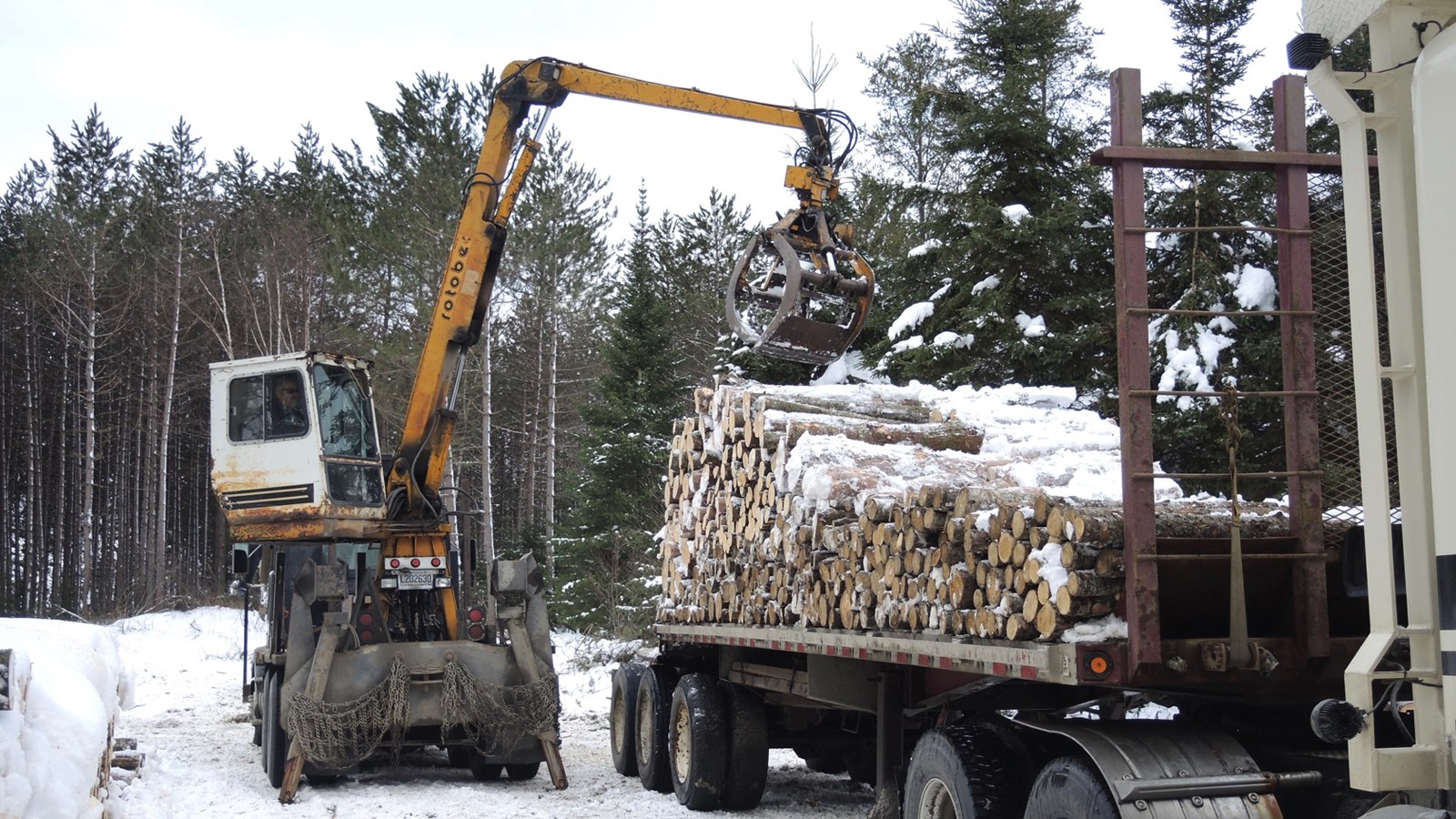 En Beauce, le dernier voyage de bois de 4 pieds marque la fin d’une époque