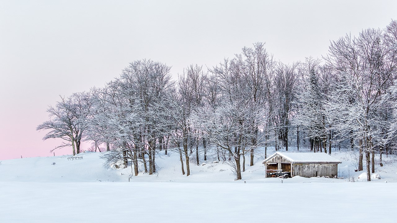 PHOTOS | L'hiver en Beauce dans toute sa splendeur (1 sur 5)