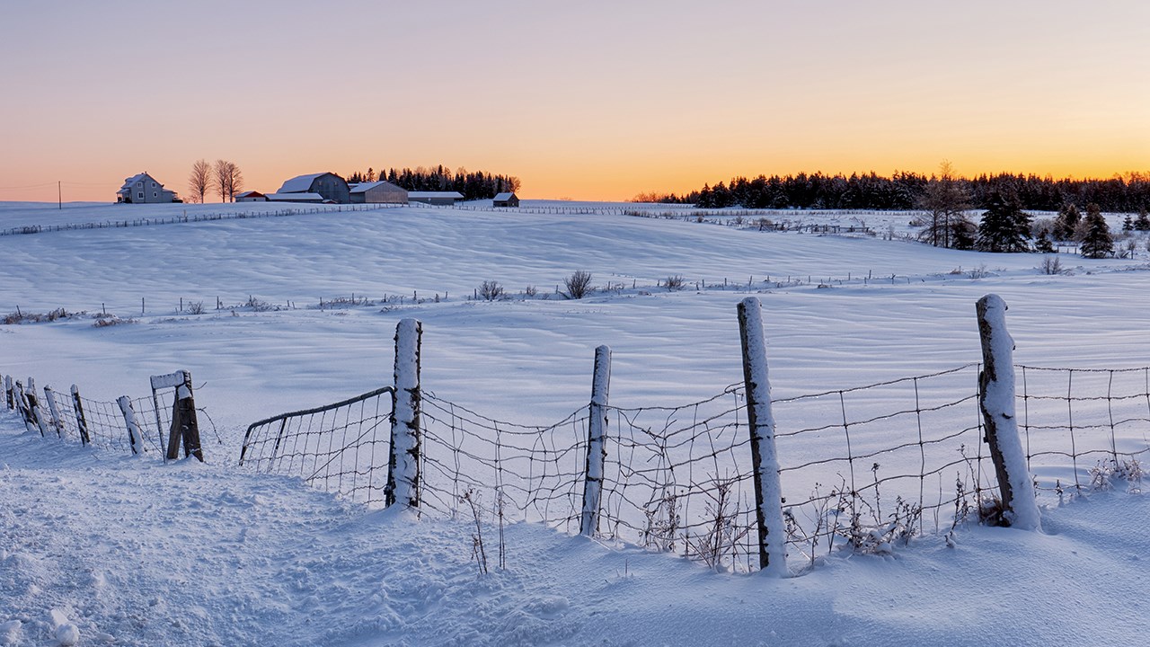 PHOTOS | L'hiver en Beauce dans toute sa splendeur (1 sur 5)