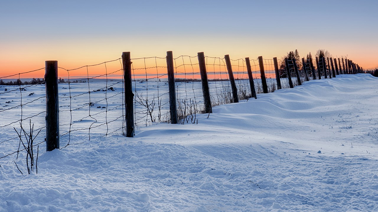 PHOTOS | L'hiver en Beauce dans toute sa splendeur (1 sur 5)