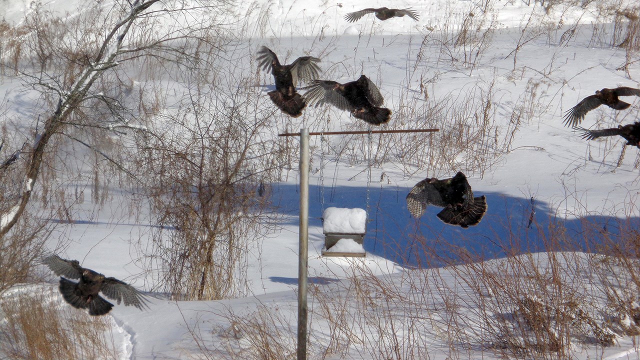 PHOTOS | L'hiver en Beauce dans toute sa splendeur (1 sur 5)