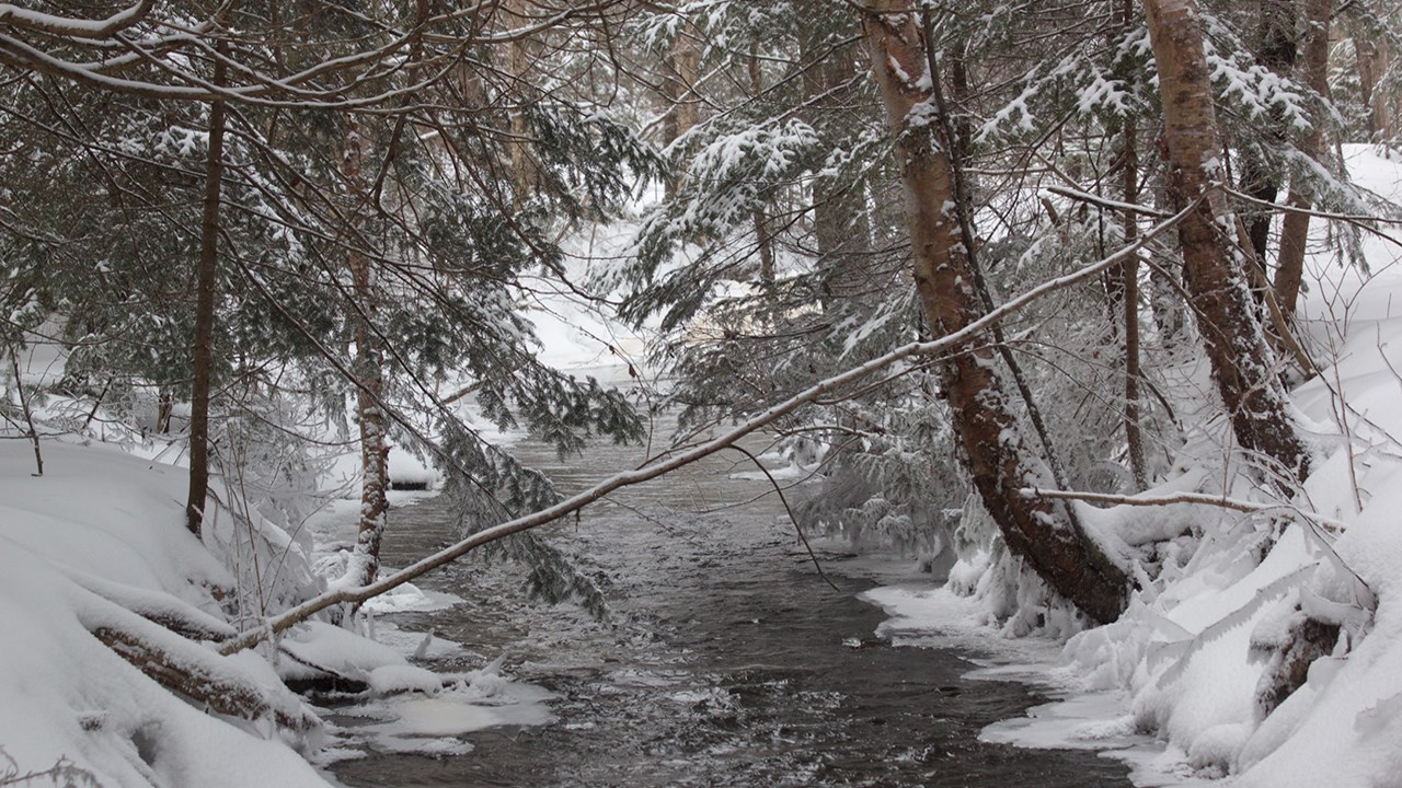 PHOTOS | L'hiver en Beauce dans toute sa splendeur (1 sur 5)