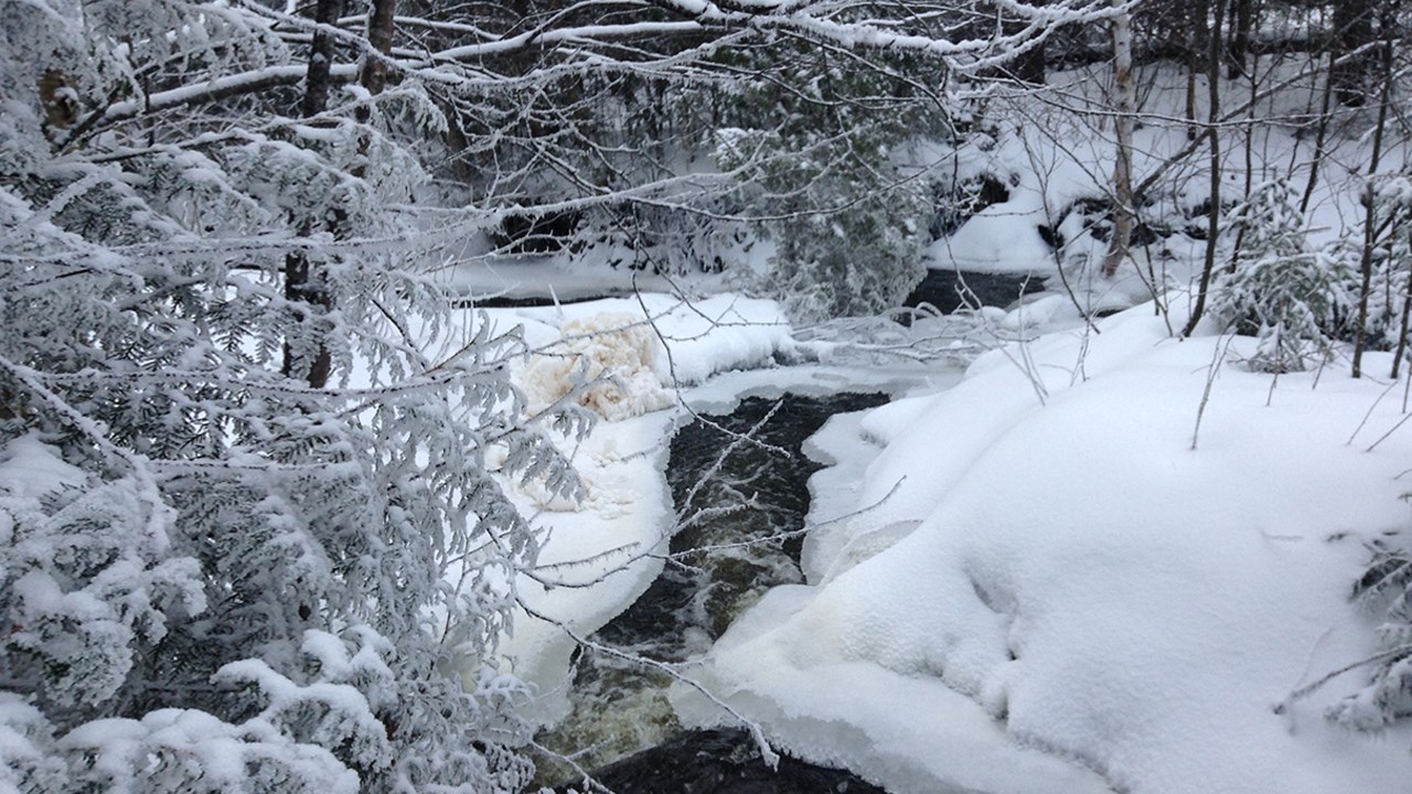 PHOTOS | L'hiver en Beauce dans toute sa splendeur (1 sur 5)