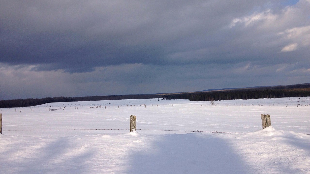 PHOTOS | L'hiver en Beauce dans toute sa splendeur (1 sur 5)