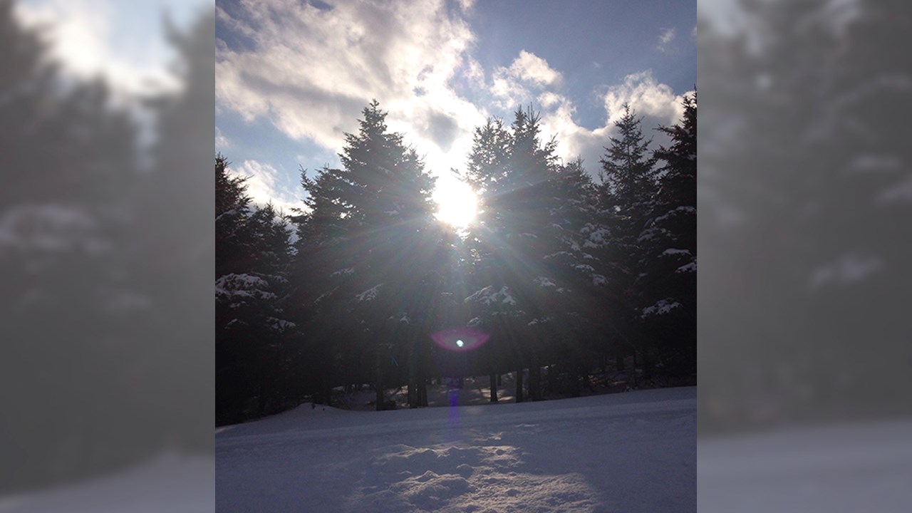 PHOTOS | L'hiver en Beauce dans toute sa splendeur (1 sur 5)