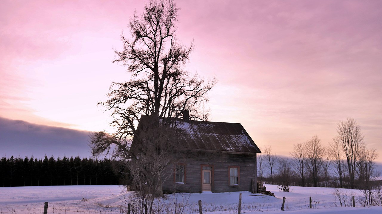 PHOTOS | L'hiver en Beauce dans toute sa splendeur (1 sur 5)