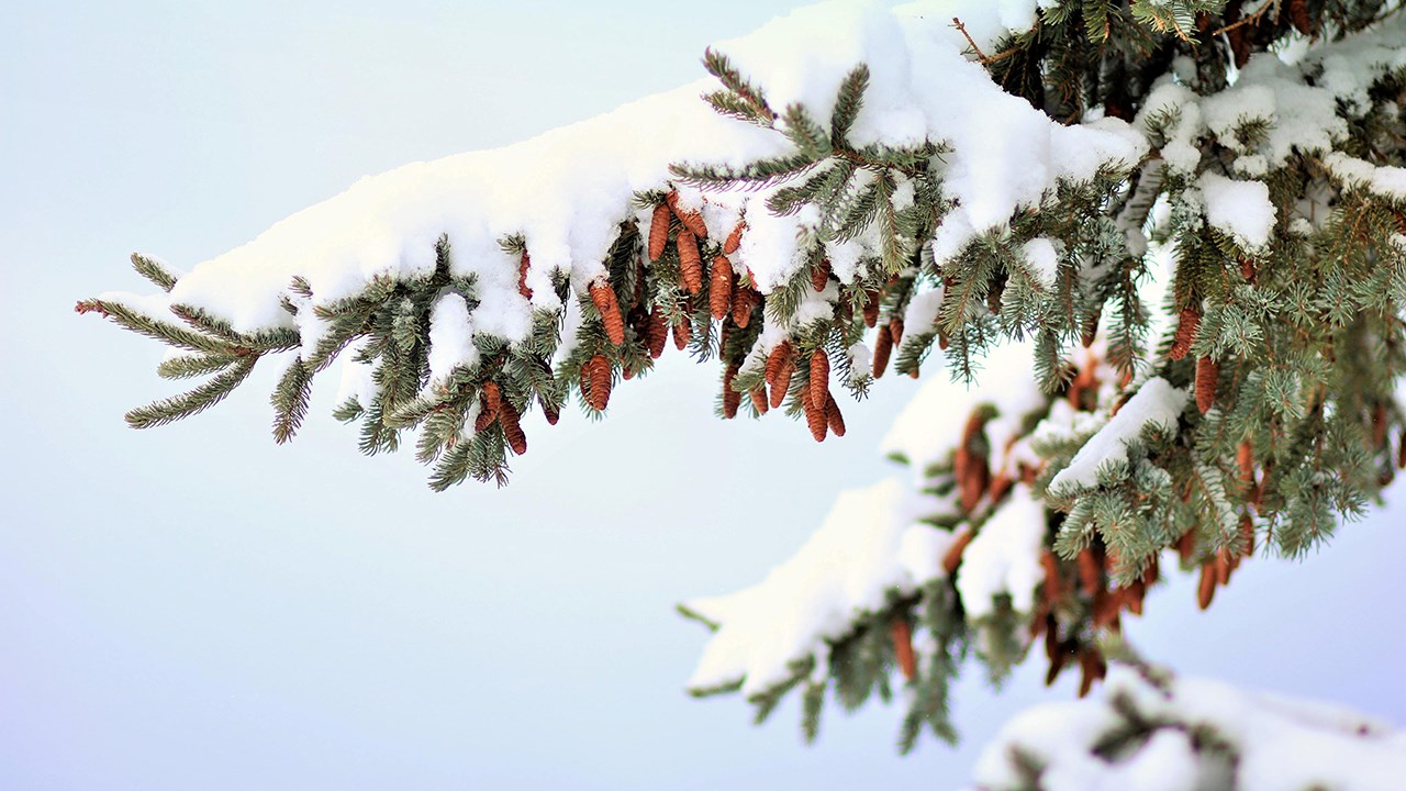 PHOTOS | L'hiver en Beauce dans toute sa splendeur (1 sur 5)