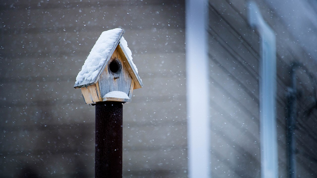 PHOTOS | L'hiver en Beauce dans toute sa splendeur (1 sur 5)