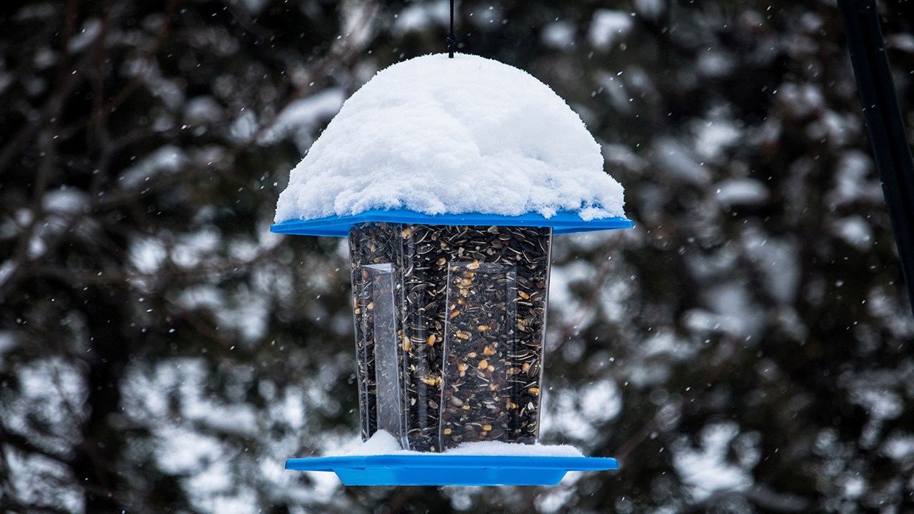 PHOTOS | L'hiver en Beauce dans toute sa splendeur (1 sur 5)