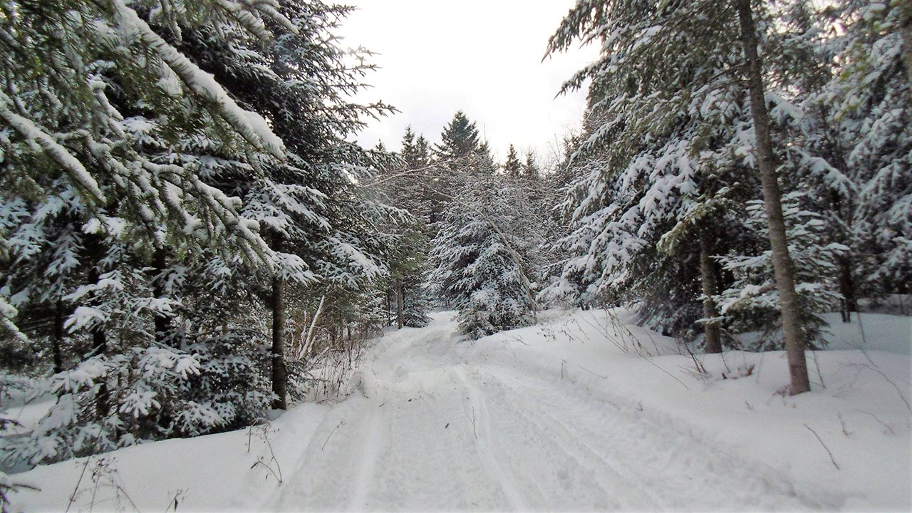 PHOTOS | L'hiver en Beauce dans toute sa splendeur (1 sur 5)
