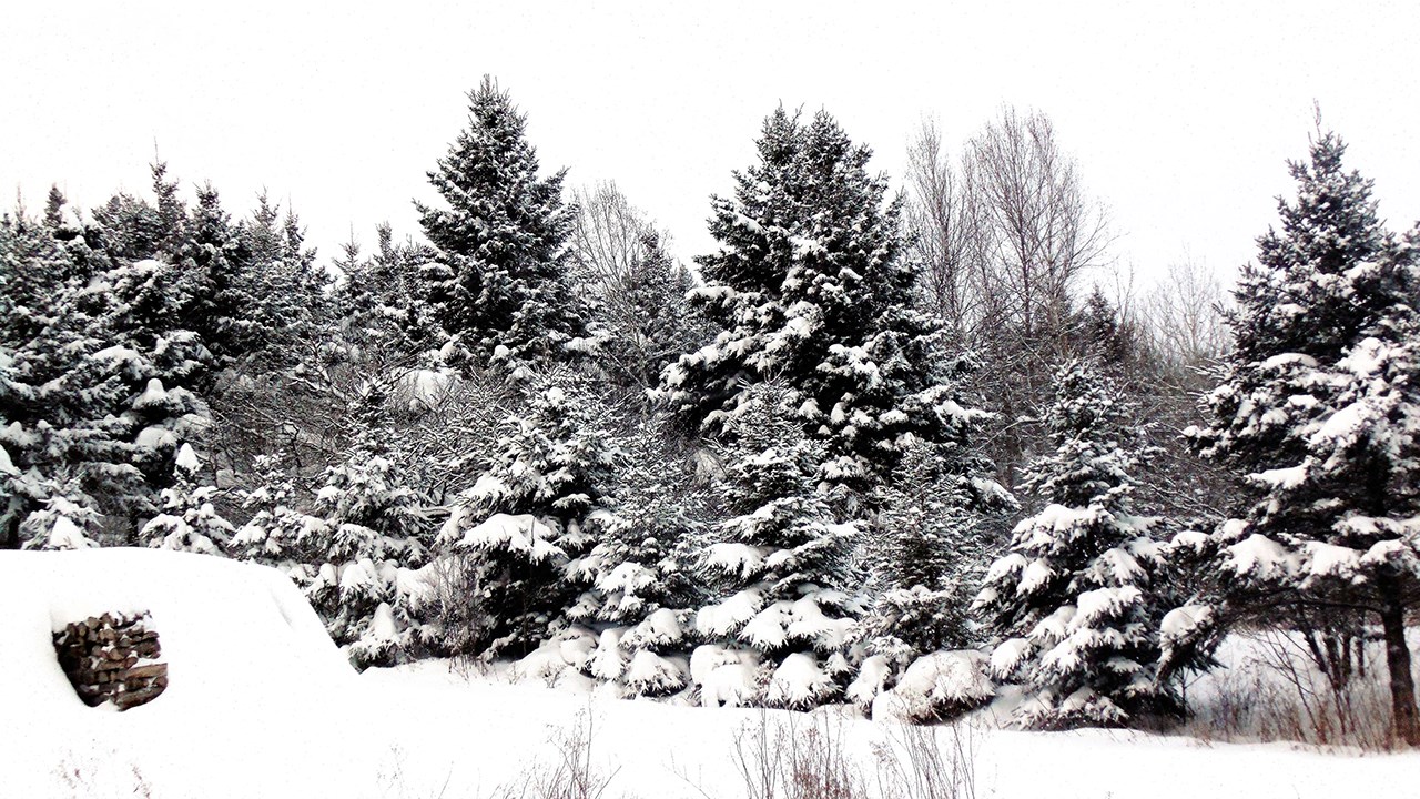 PHOTOS | L'hiver en Beauce dans toute sa splendeur (1 sur 5)