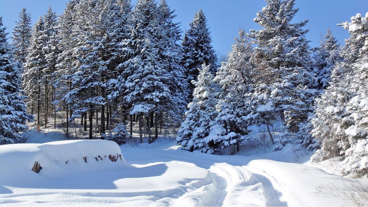 PHOTOS | L'hiver en Beauce dans toute sa splendeur (1 sur 5)
