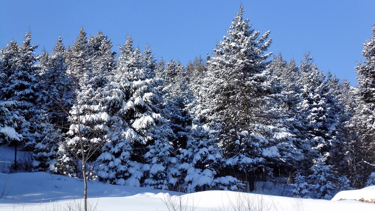PHOTOS | L'hiver en Beauce dans toute sa splendeur (1 sur 5)
