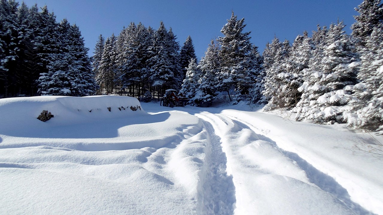 PHOTOS | L'hiver en Beauce dans toute sa splendeur (1 sur 5)