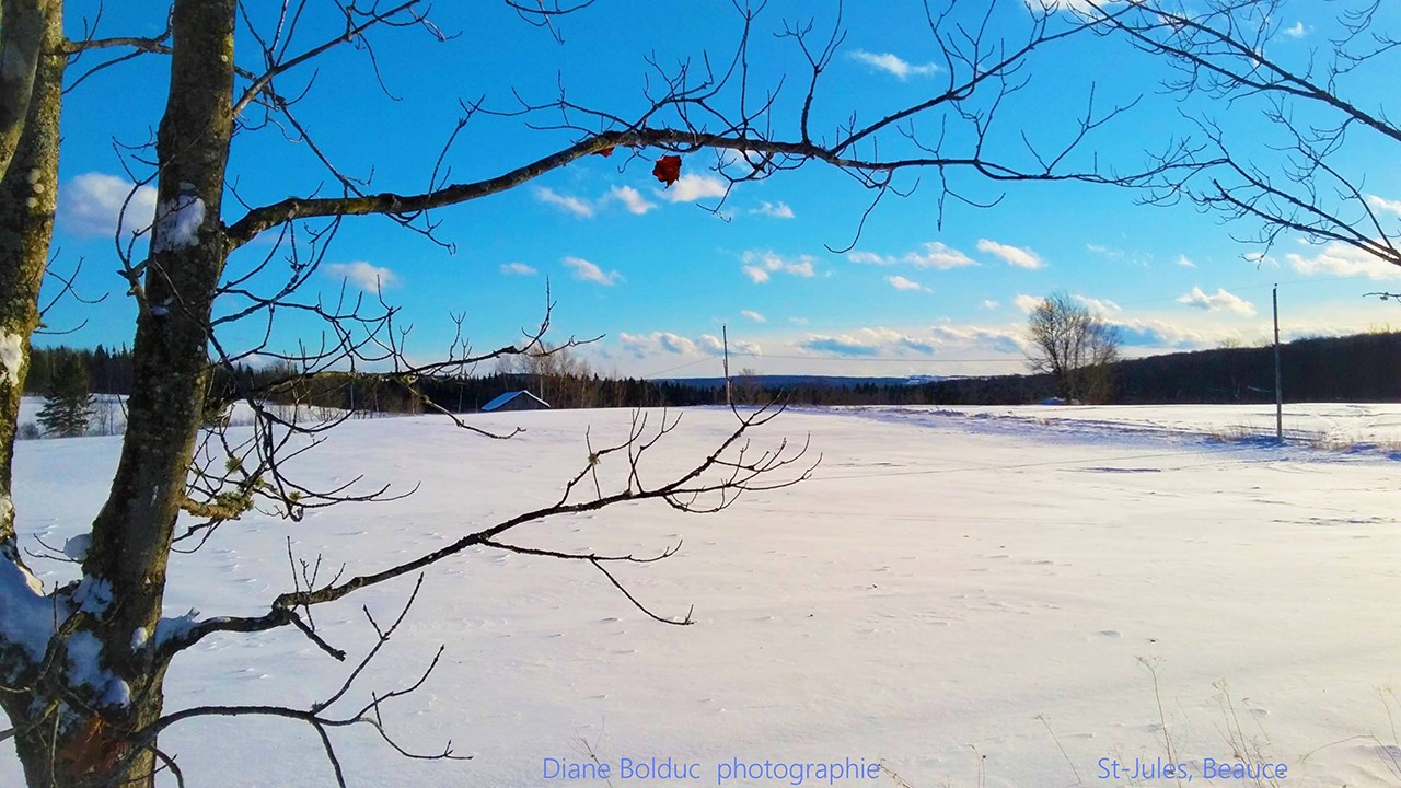 PHOTOS | L'hiver en Beauce dans toute sa splendeur (1 sur 5)